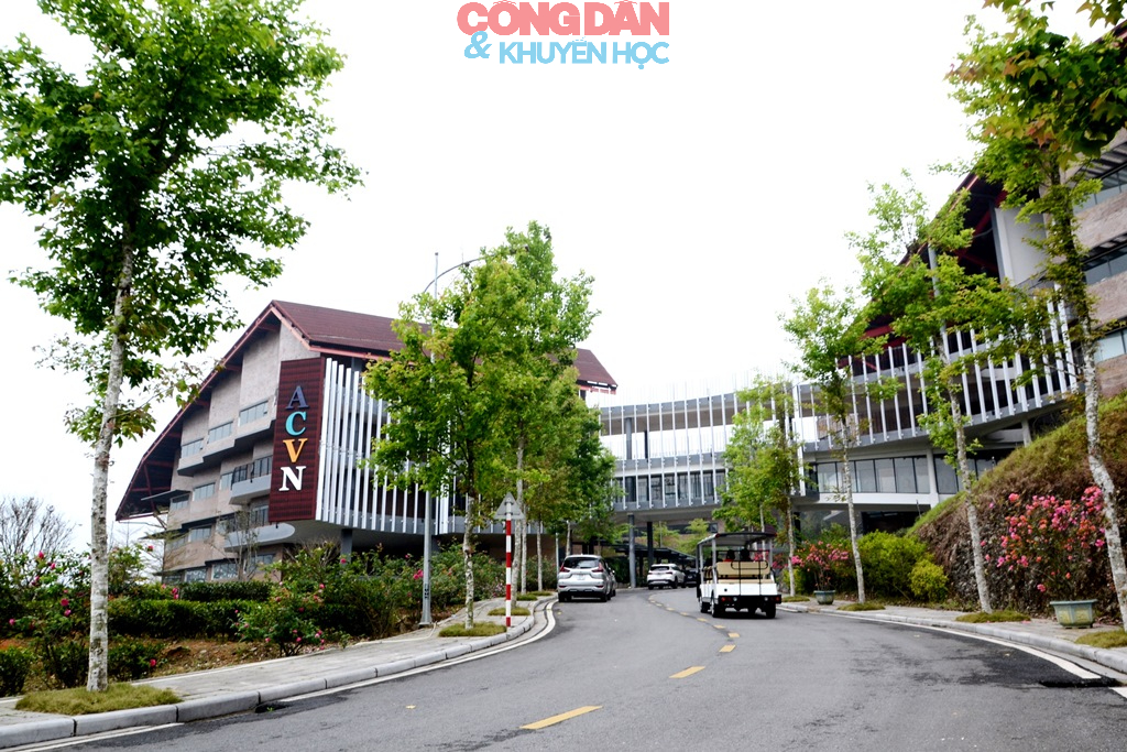 L&agrave;o Cai: Khai trương Trường nội tr&uacute; Anh quốc đầu ti&ecirc;n tại Việt Nam - Ảnh 9.