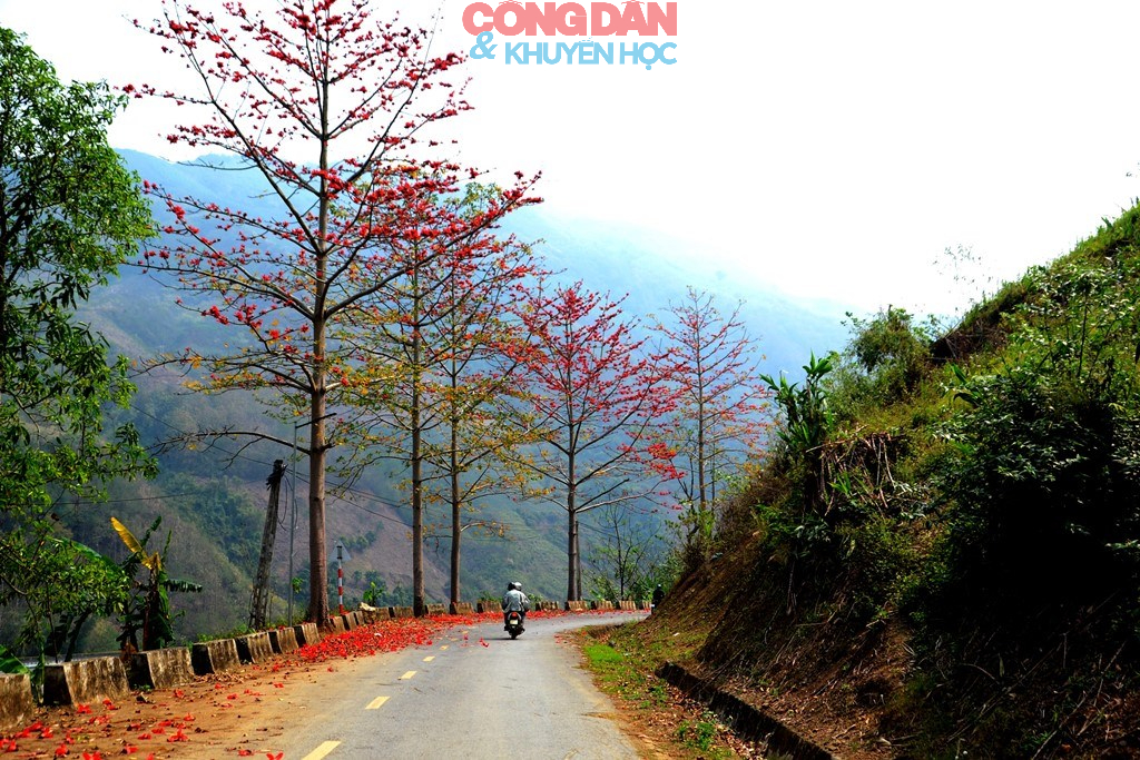 Bộ đội Bi&ecirc;n ph&ograve;ng L&agrave;o Cai sẵn s&agrave;ng cho ng&agrave;y bầu cử   - Ảnh 14.