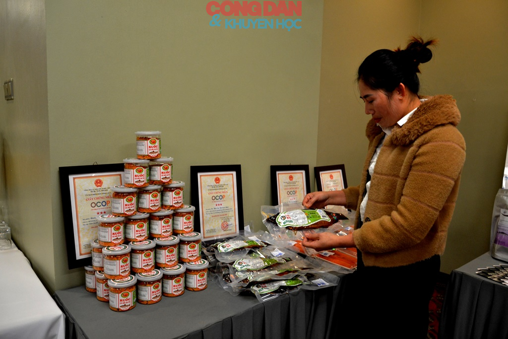 L&agrave;o Cai x&acirc;y dựng kế hoạch hỗ trợ ph&aacute;t triển kinh tế tư nh&acirc;n thiết thực, hiệu quả - Ảnh 2.