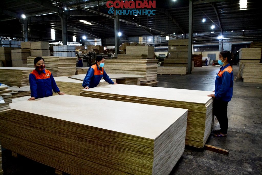 L&agrave;o Cai x&acirc;y dựng kế hoạch hỗ trợ ph&aacute;t triển kinh tế tư nh&acirc;n thiết thực, hiệu quả - Ảnh 3.