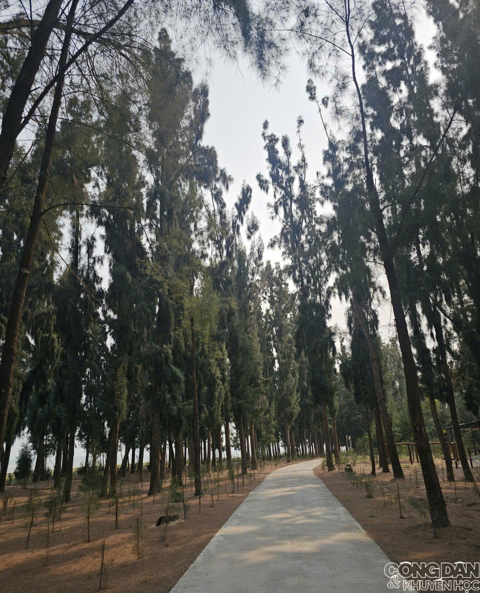 C&aacute;i Chi&ecirc;n, x&atilde; đảo hoang sơ ở Quảng Ninh c&oacute; g&igrave; m&agrave; h&uacute;t hồn du kh&aacute;ch  - Ảnh 9.