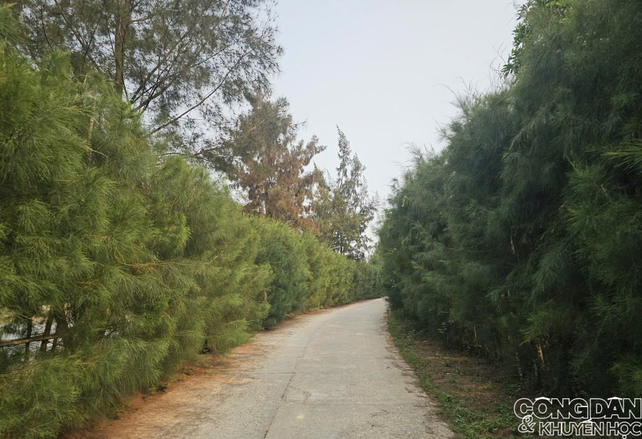 C&aacute;i Chi&ecirc;n, x&atilde; đảo hoang sơ ở Quảng Ninh c&oacute; g&igrave; m&agrave; h&uacute;t hồn du kh&aacute;ch  - Ảnh 10.