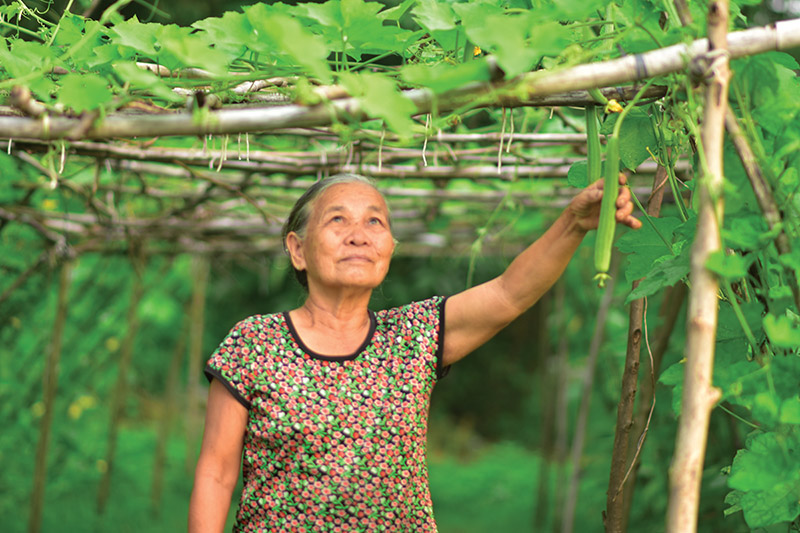 Tăng mức trợ cấp từ 500.000 đồng/th&aacute;ng l&ecirc;n 600.000 đồng/th&aacute;ng từ 1/7? - Ảnh 1.