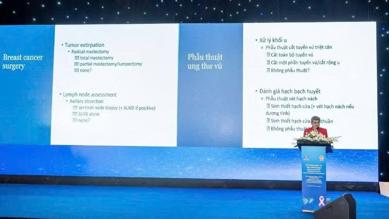 Bệnh viện K hội thảo quốc tế về ung thư v&uacute; - Ảnh 2.