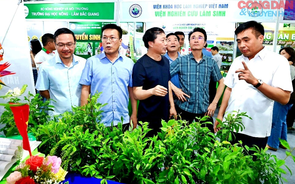 Lai Ch&acirc;u xanh ho&aacute; n&ocirc;ng nghiệp, ph&aacute;t triển dược liệu h&agrave;ng ho&aacute; - Ảnh 1.