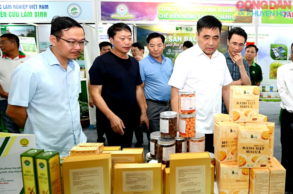 Lai Ch&acirc;u xanh ho&aacute; n&ocirc;ng nghiệp, ph&aacute;t triển dược liệu h&agrave;ng ho&aacute; - Ảnh 3.