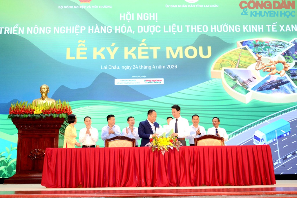 Lai Ch&acirc;u xanh ho&aacute; n&ocirc;ng nghiệp, ph&aacute;t triển dược liệu h&agrave;ng ho&aacute; - Ảnh 8.