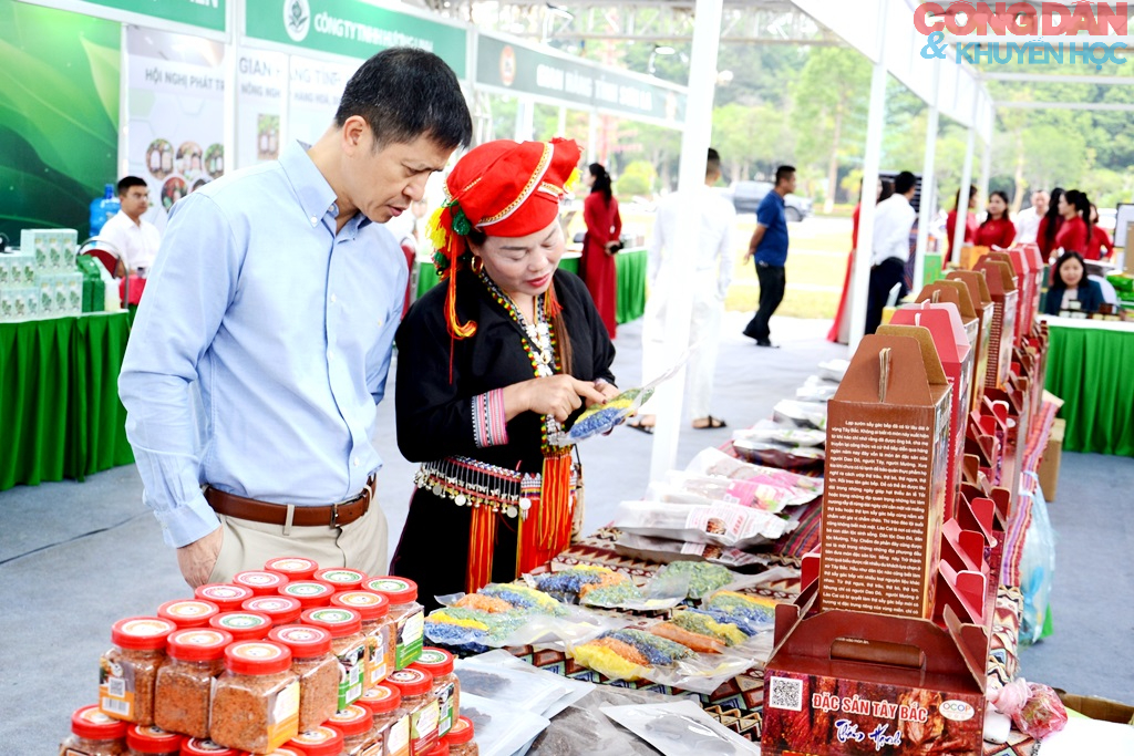 Lai Ch&acirc;u xanh ho&aacute; n&ocirc;ng nghiệp, ph&aacute;t triển dược liệu h&agrave;ng ho&aacute; - Ảnh 11.