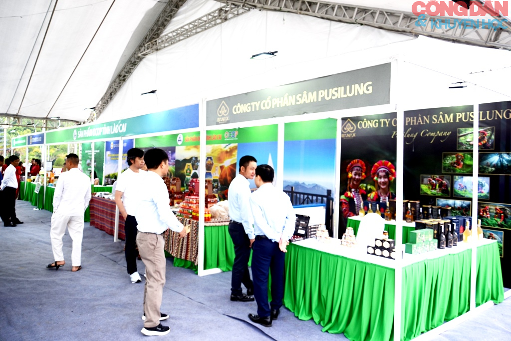 Lai Ch&acirc;u xanh ho&aacute; n&ocirc;ng nghiệp, ph&aacute;t triển dược liệu h&agrave;ng ho&aacute; - Ảnh 12.