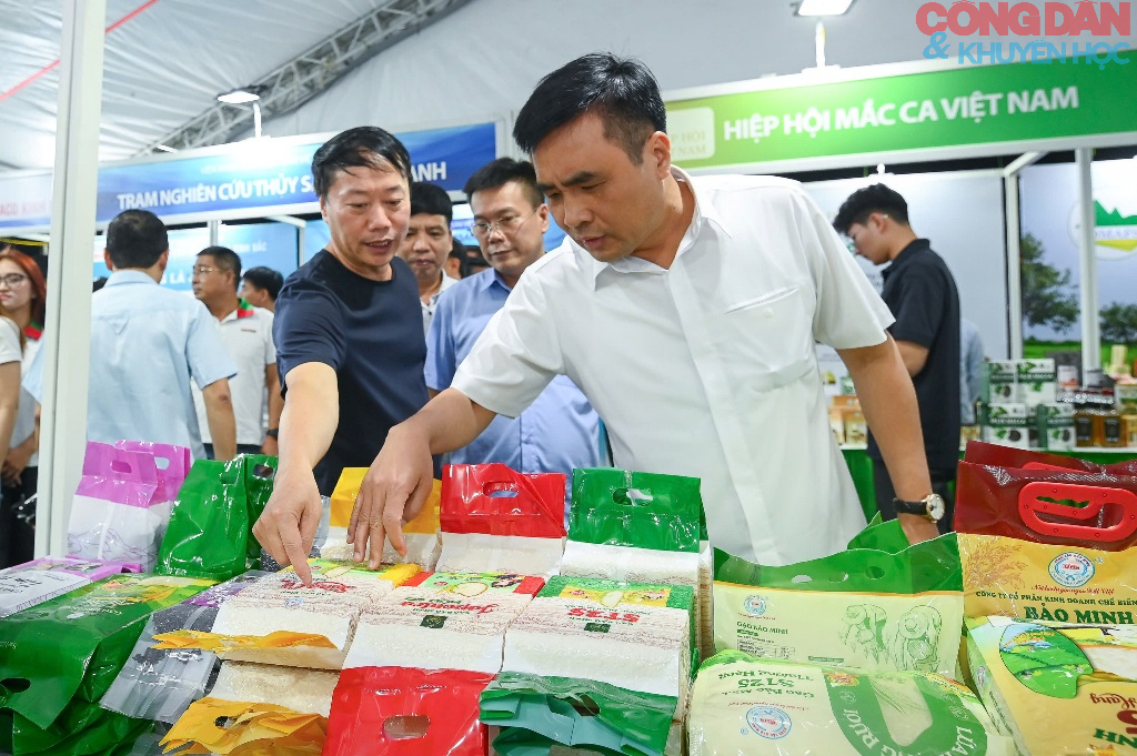 Lai Ch&acirc;u xanh ho&aacute; n&ocirc;ng nghiệp, ph&aacute;t triển dược liệu h&agrave;ng ho&aacute; - Ảnh 15.