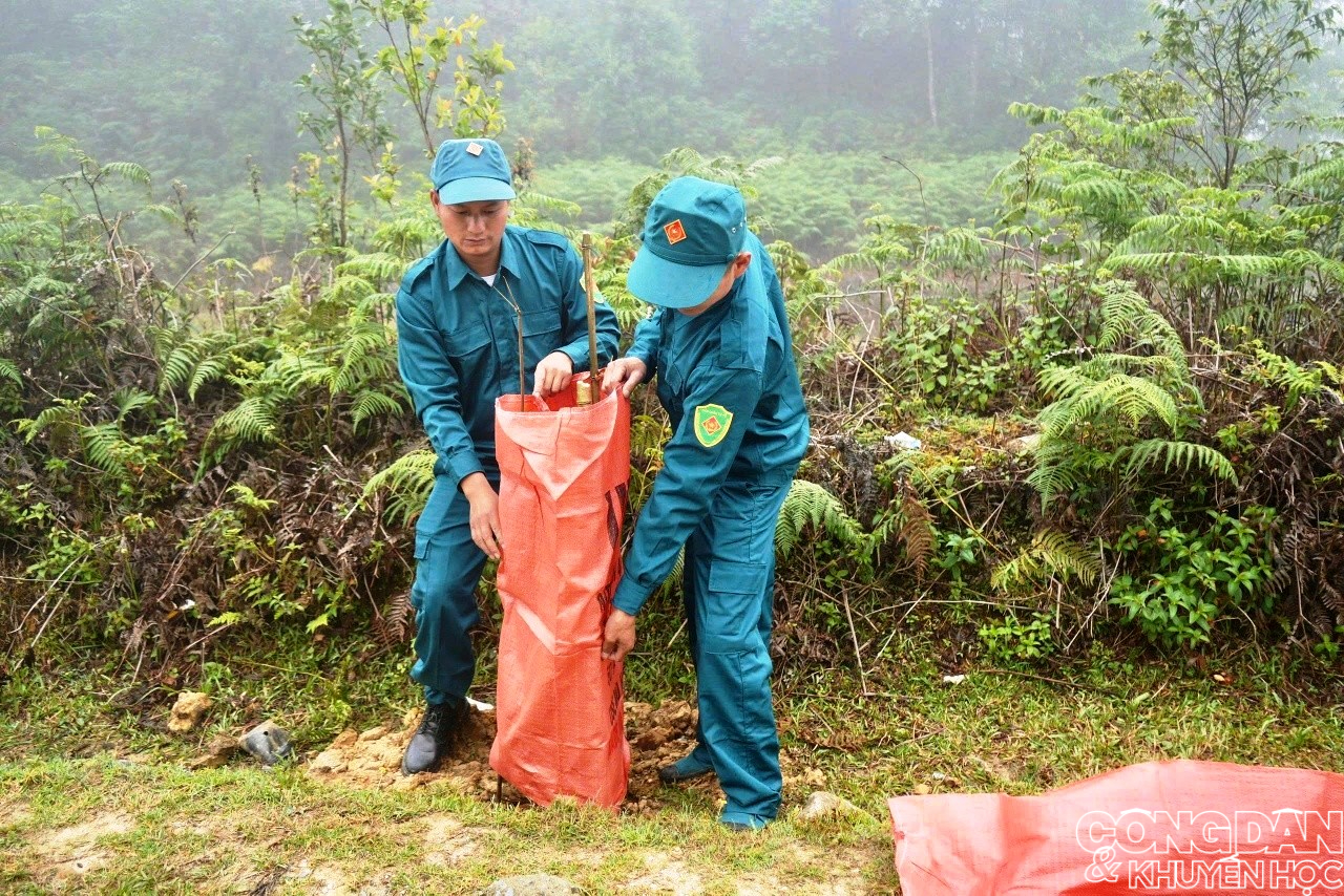 Trồng hơn 1.600 c&acirc;y ho&agrave;ng đ&agrave;n ở Vườn quốc gia Ho&agrave;ng Li&ecirc;n - Ảnh 3.