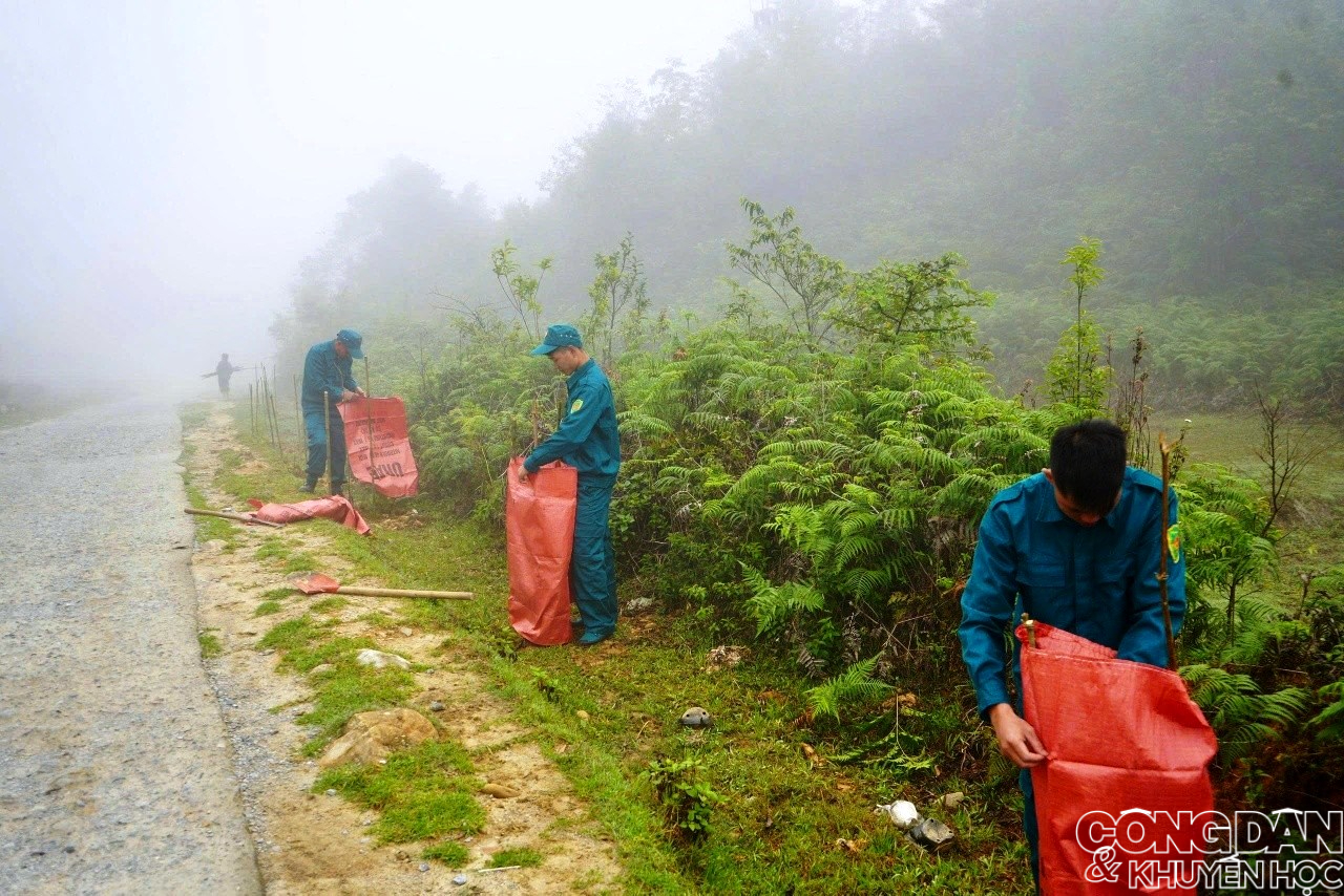 Trồng hơn 1.600 c&acirc;y ho&agrave;ng đ&agrave;n ở Vườn quốc gia Ho&agrave;ng Li&ecirc;n - Ảnh 2.