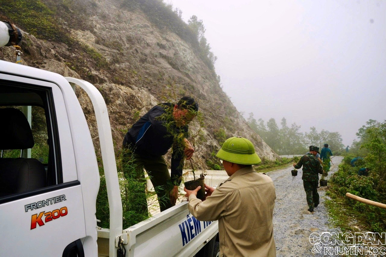 Trồng hơn 1.600 c&acirc;y ho&agrave;ng đ&agrave;n ở Vườn quốc gia Ho&agrave;ng Li&ecirc;n - Ảnh 4.