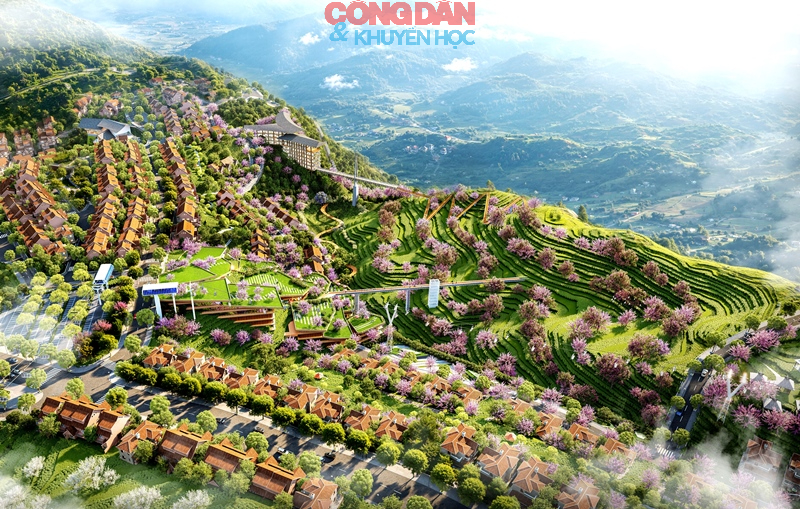 Khởi c&ocirc;ng đ&ocirc; thị sinh th&aacute;i Đồi ch&egrave; &Ocirc; Qu&yacute; Hồ - Sa Pa (L&agrave;o Cai), tổng vốn đầu tư gần 2.500 tỷ đồng - Ảnh 1.