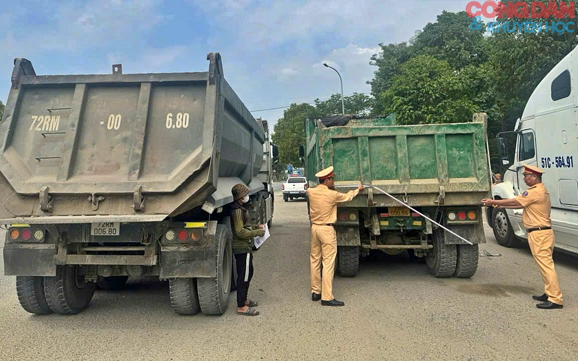 Th&agrave;nh phố Hồ Ch&iacute; Minh tổng r&agrave; so&aacute;t 6.400 xe ben, xe tải tự đổ từ 15 tấn - Ảnh 1.