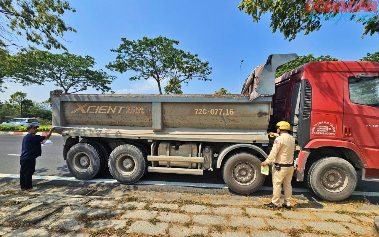 Th&agrave;nh phố Hồ Ch&iacute; Minh tổng r&agrave; so&aacute;t 6.400 xe ben, xe tải tự đổ từ 15 tấn - Ảnh 2.