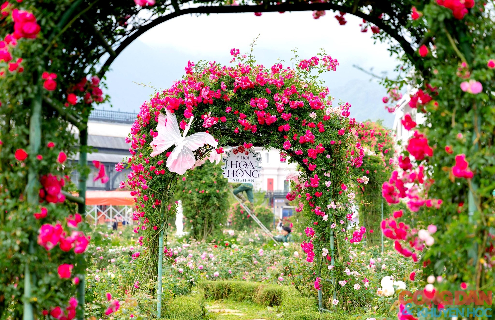 Lễ hội m&ugrave;a h&egrave; Sa Pa ch&agrave;o đ&oacute;n du kh&aacute;ch - Ảnh 18.