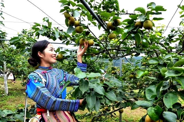 Sắp diễn ra lễ hội l&ecirc; Nậm Pung 2026 - Ảnh 2.