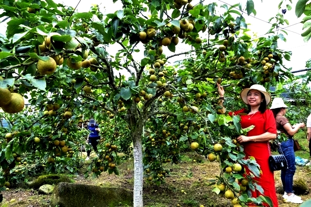 Sắp diễn ra lễ hội l&ecirc; Nậm Pung 2026 - Ảnh 4.