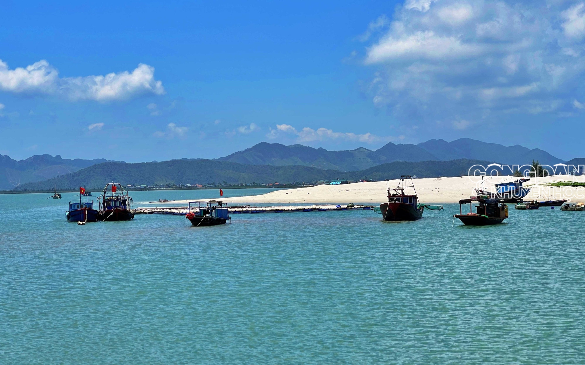 M&oacute;n ăn "c&oacute; tiền cũng kh&oacute; mua" - đặc sản đảo Quan Lạn, biển Quảng Ninh - Ảnh 1.