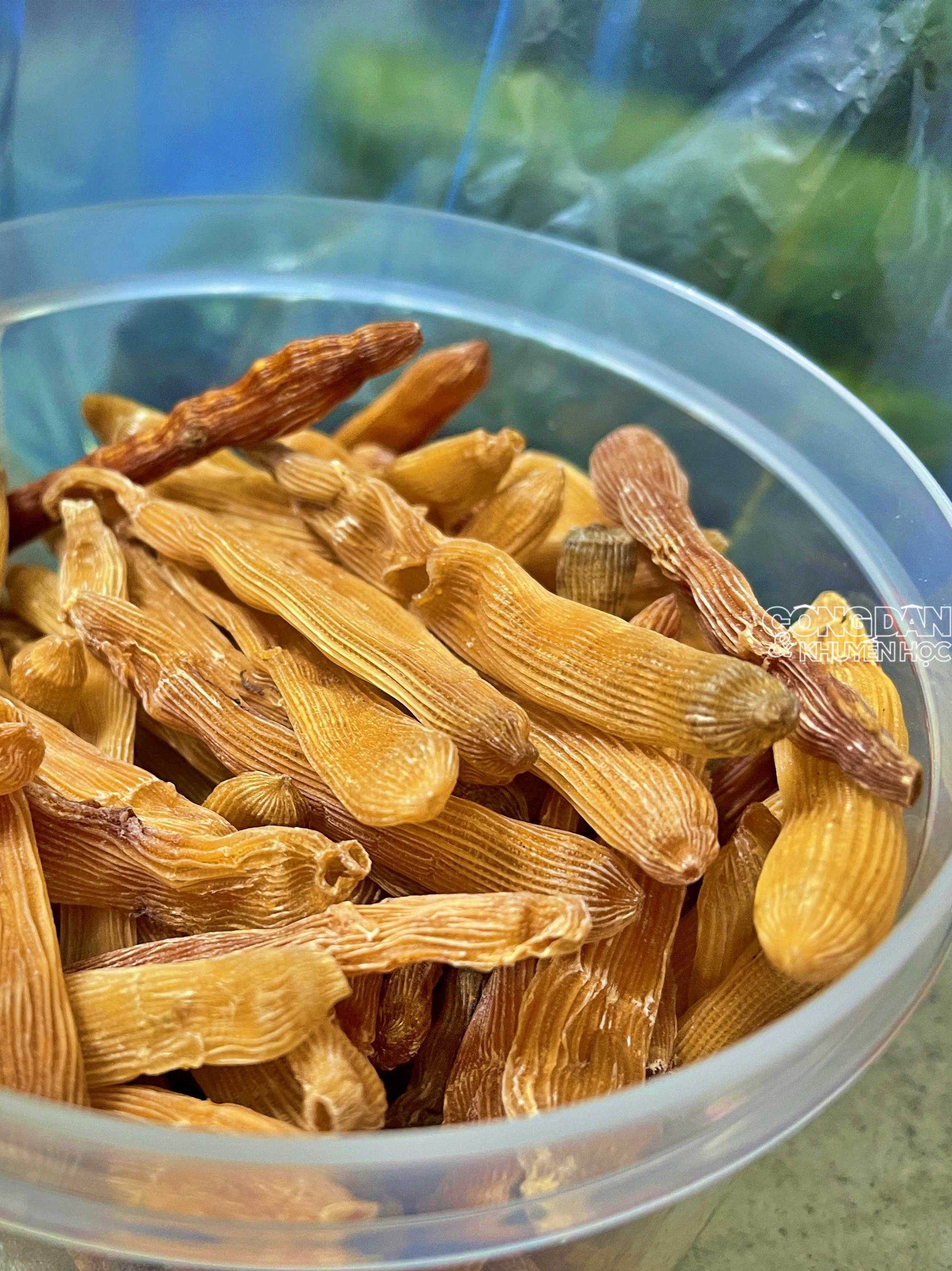 M&oacute;n ăn "c&oacute; tiền cũng kh&oacute; mua" - đặc sản đảo Quan Lạn, biển Quảng Ninh - Ảnh 4.