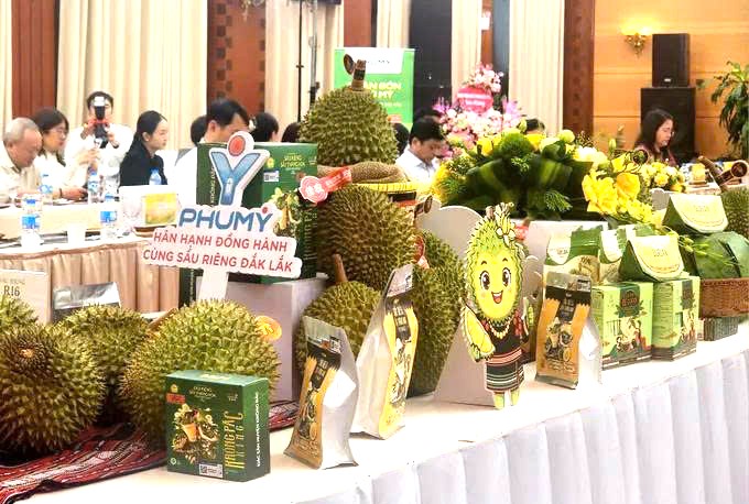Lễ hội Sầu riêng Đắk Lắk năm 2026 với chủ đề "Sầu riêng Đắk Lắk - Kết nối vươn xa" - Ảnh 3.