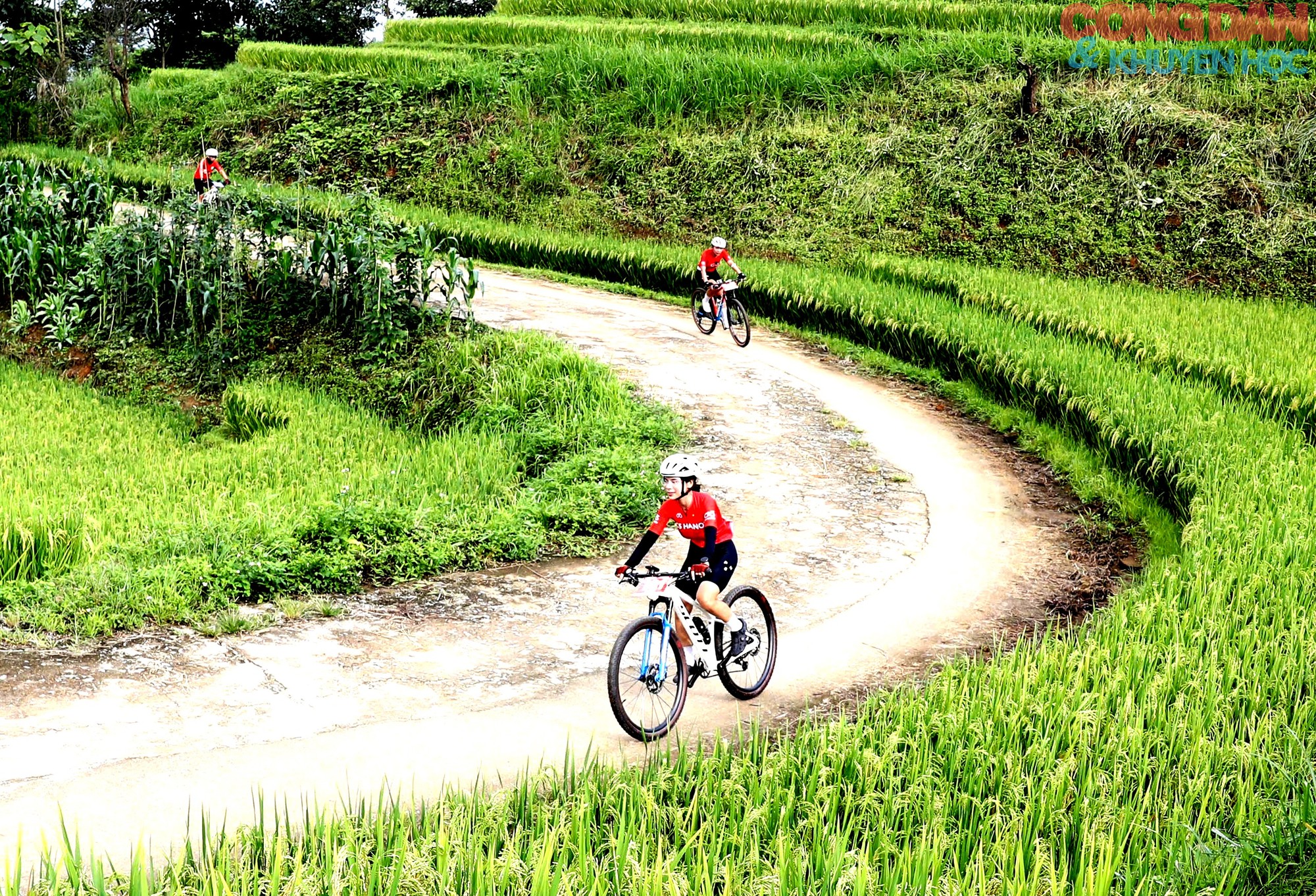 S&ocirc;i động đường đua giữa m&acirc;y ng&agrave;n v&agrave; s&oacute;ng l&uacute;a v&agrave;ng Mường Bo - Ảnh 10.