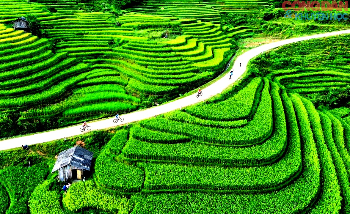 S&ocirc;i động đường đua giữa m&acirc;y ng&agrave;n v&agrave; s&oacute;ng l&uacute;a v&agrave;ng Mường Bo - Ảnh 11.