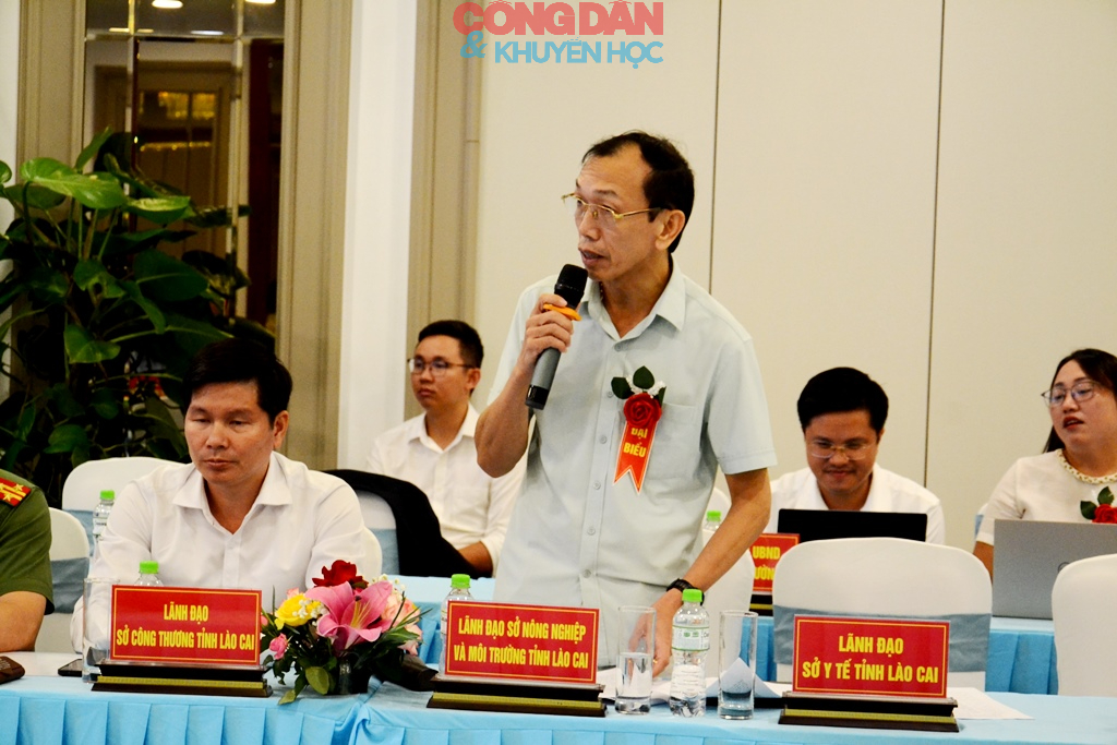 L&agrave;o Cai tạo động lực mới để bứt ph&aacute; ph&aacute;t triển du lịch - Ảnh 4.