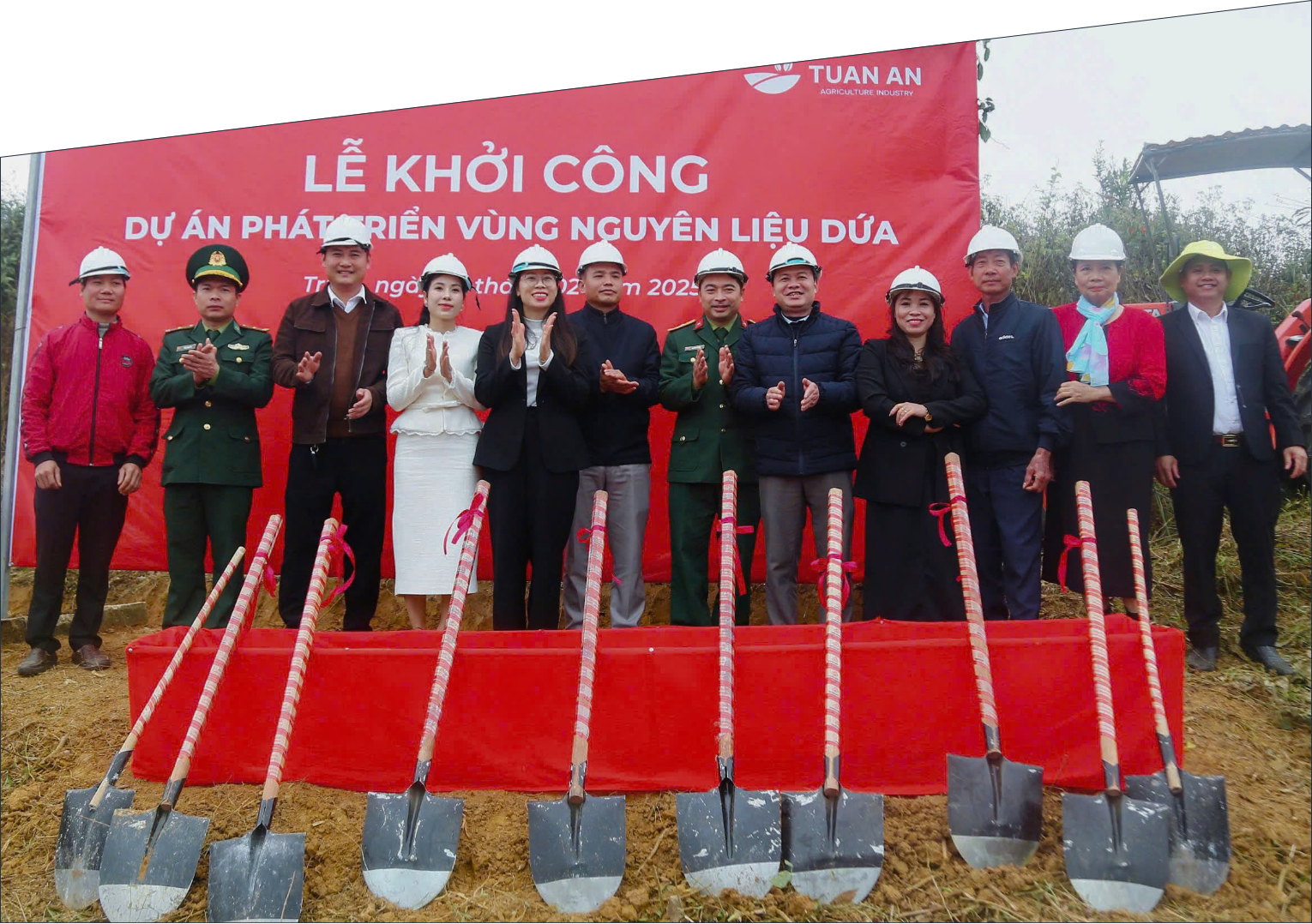 Kỳ vọng vào cây dứa giúp đồng bào biên giới Nghệ An thoát nghèo - Ảnh 3.