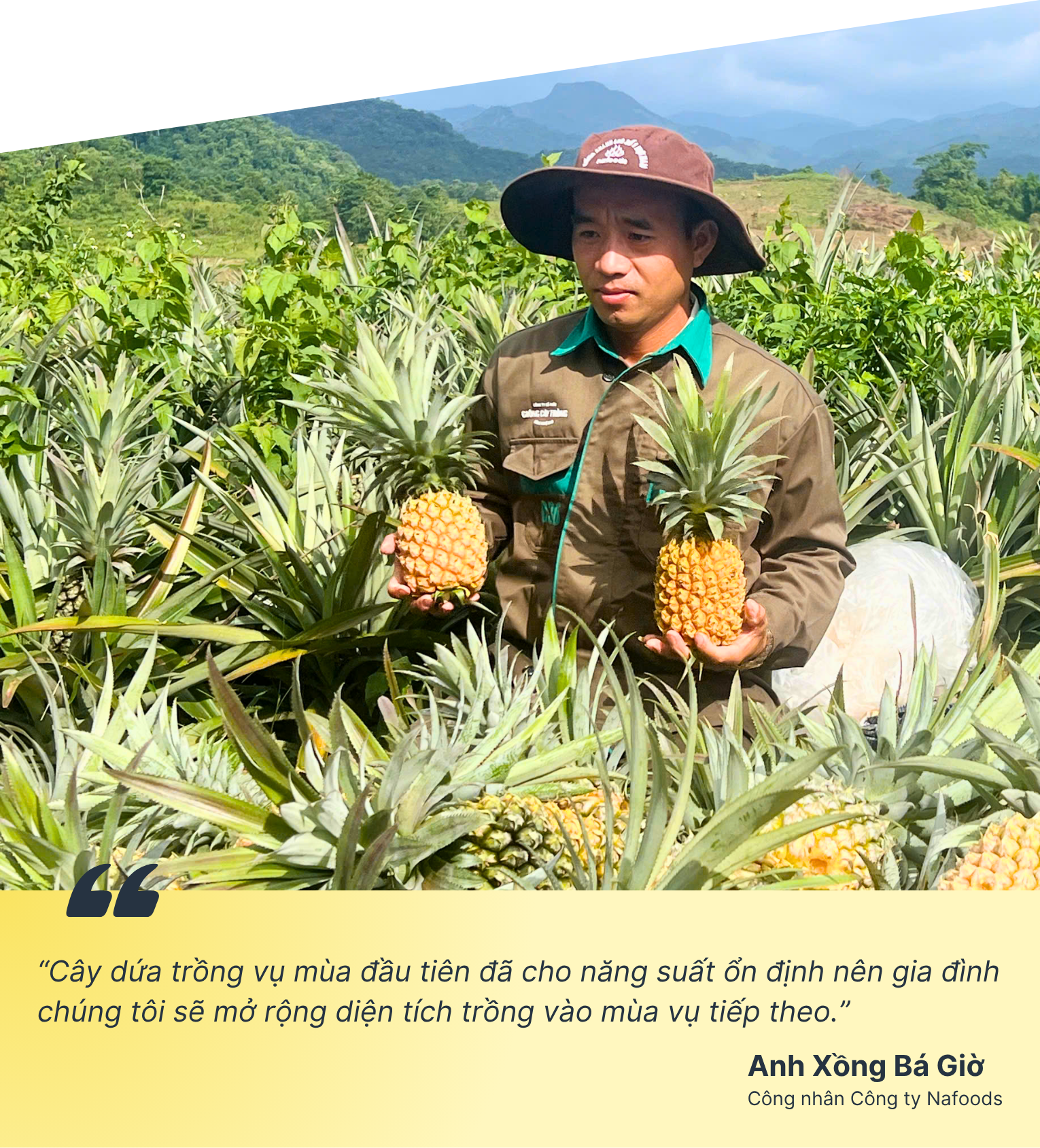 Kỳ vọng vào cây dứa giúp đồng bào biên giới Nghệ An thoát nghèo - Ảnh 7.