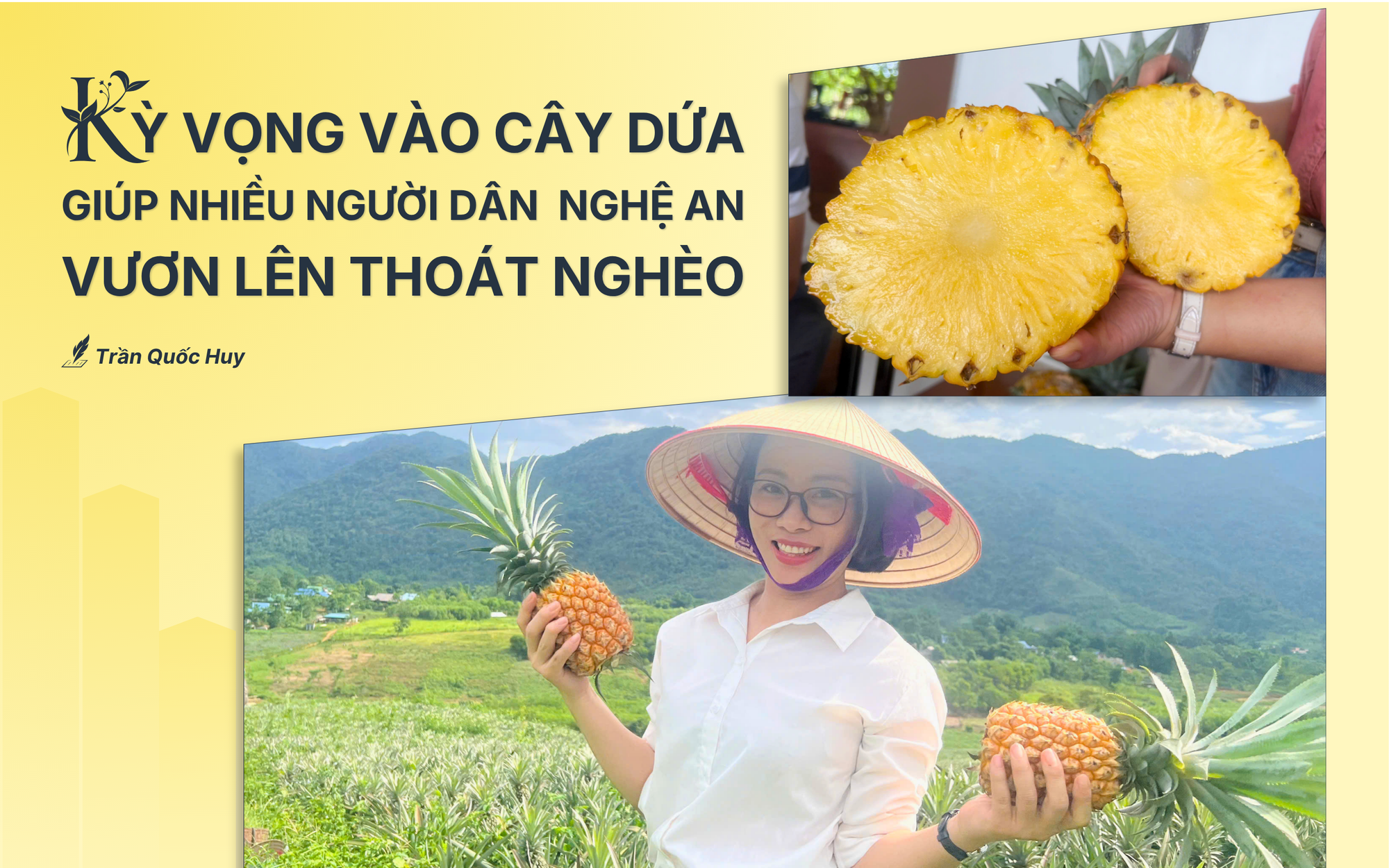 Người n&ocirc;ng d&acirc;n 30 năm l&agrave;m gi&agrave;u từ c&acirc;y dứa Nữ ho&agrave;ng - Ảnh 3.
