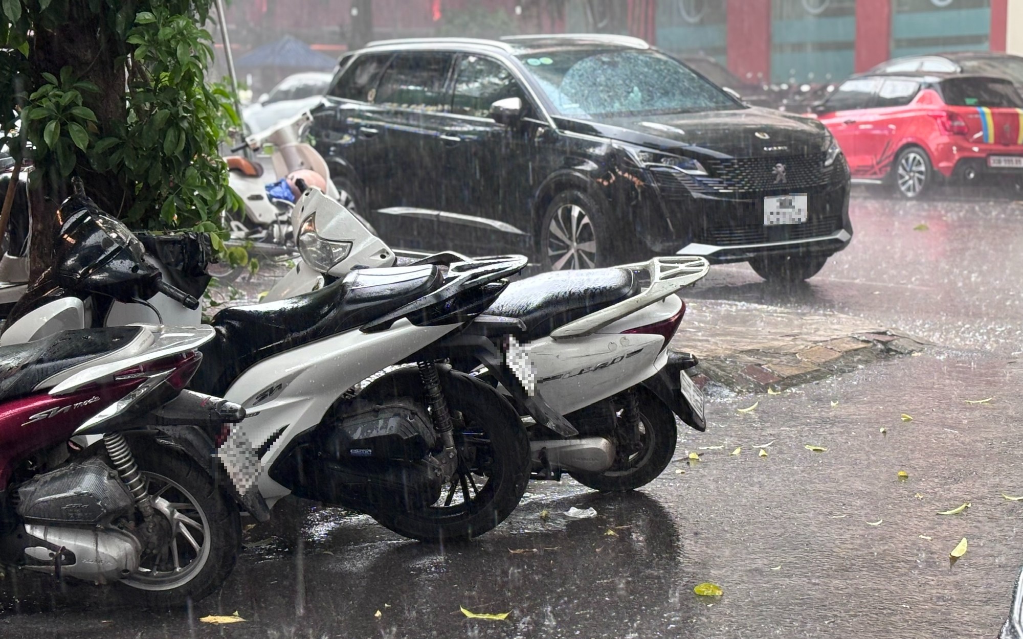 Bộ Gi&aacute;o dục v&agrave; Đ&agrave;o tạo y&ecirc;u cầu chủ động ứng ph&oacute; b&atilde;o số 4 - Ảnh 2.