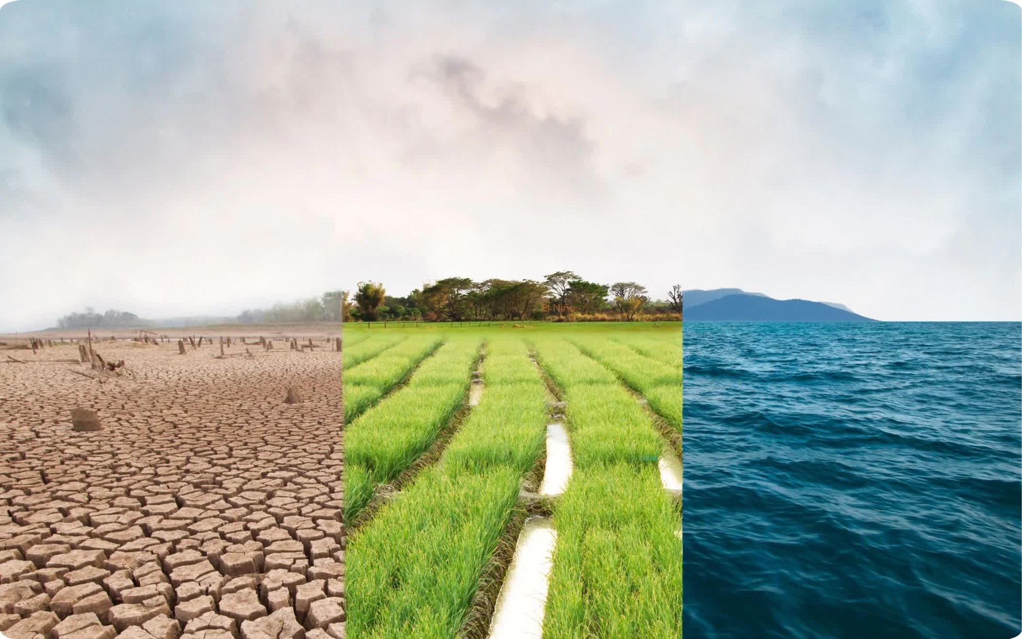 Dự b&aacute;o El Ni&ntilde;o tăng hơn v&agrave; đạt cường độ rất mạnh - Ảnh 1.