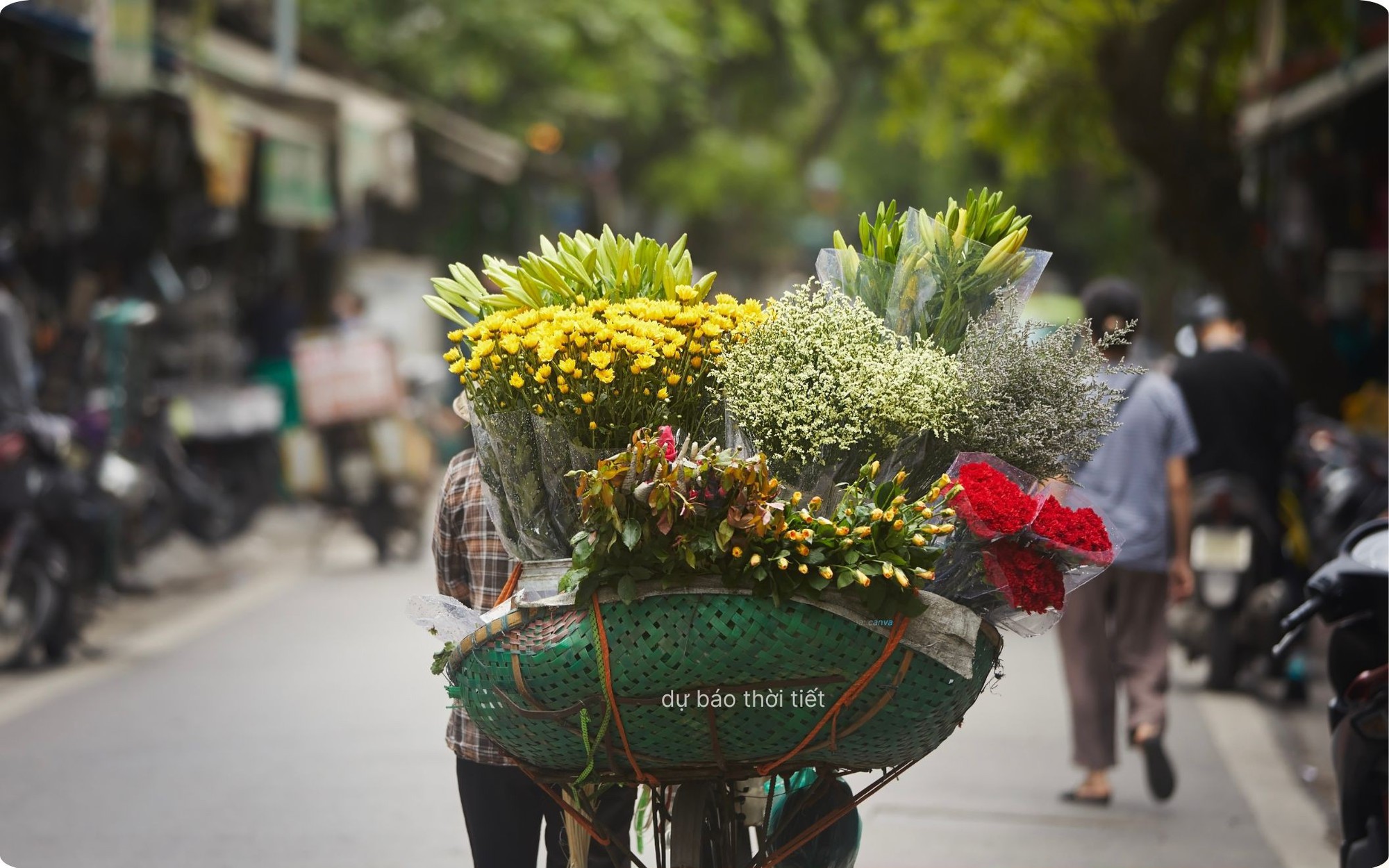 Thời tiết 10 ng&agrave;y tới: C&aacute;c khu vực dự b&aacute;o mưa to  - Ảnh 1.