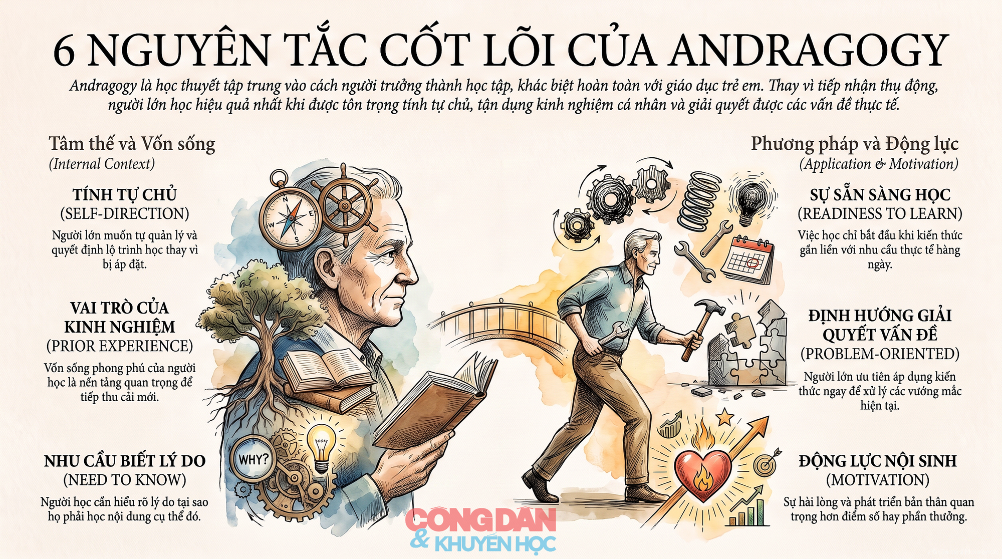 Khuyến học - Một lĩnh vực thuộc khoa học giáo dục người lớn - Ảnh 2.