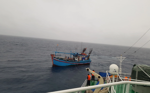 Kịp thời cứu vớt 14 ngư dân trên tàu cá bị chìm ở Bình Thuận