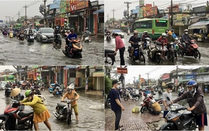Cảnh báo Nam Bộ xuất hiện triều cường cao nhất trong nhiều năm - Ảnh 4.