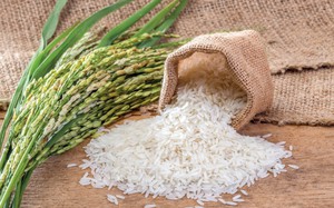 Việt Nam đặt mục tiêu xuất khẩu 7 triệu tấn gạo