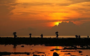 Cổng Tò Vò, Lý Sơn - dáng hình thiên nhiên, sắc màu biển đảo - Ảnh 19.