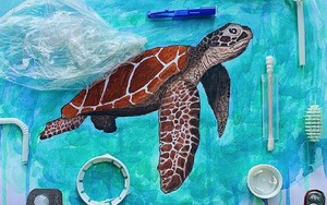 PanNature kêu gọi Facebook và Youtube chung tay ngăn chặn buôn bán rùa hoang dã qua mạng