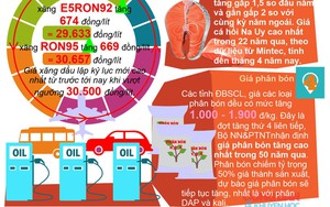 [Infographic] Giá xăng tăng kéo theo giá nhiều mặt hàng tăng kỷ lục 