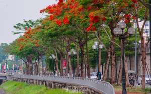 Bắt nhóm 3 đối tượng xả trộm chất thải xuống sông Tô Lịch- Ảnh 2.