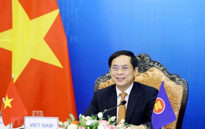 Bộ trưởng Bùi Thanh Sơn: 
