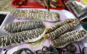 Chợ c&aacute; C&aacute;i Rồng, V&acirc;n Đồn - B&igrave;nh minh mu&ocirc;n sắc tr&ecirc;n biển trời Đ&ocirc;ng Bắc - Ảnh 25.