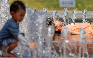 Nắng nóng gay gắt nhất kể từ năm 1961 khiến tôm sống thành tôm chín ở Trung Quốc