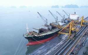 Tổng B&iacute; thư T&ocirc; L&acirc;m động vi&ecirc;n, ch&uacute;c Tết c&ocirc;ng nh&acirc;n ng&agrave;nh Than - Ảnh 9.