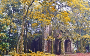Vườn Quốc gia Ba Vì của Việt Nam lọt Top điểm đến tháng 11 khiến du khách 