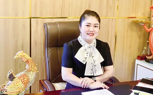 Sâm Ngọc Linh thực sự là cây chủ lực phát triển vùng dược liệu giá trị? - Ảnh 5.