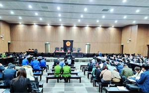 Đề nghị mức án chung thân với Nguyễn Thị Hà Thành - “siêu lừa” chiếm đoạt 430 tỉ đồng